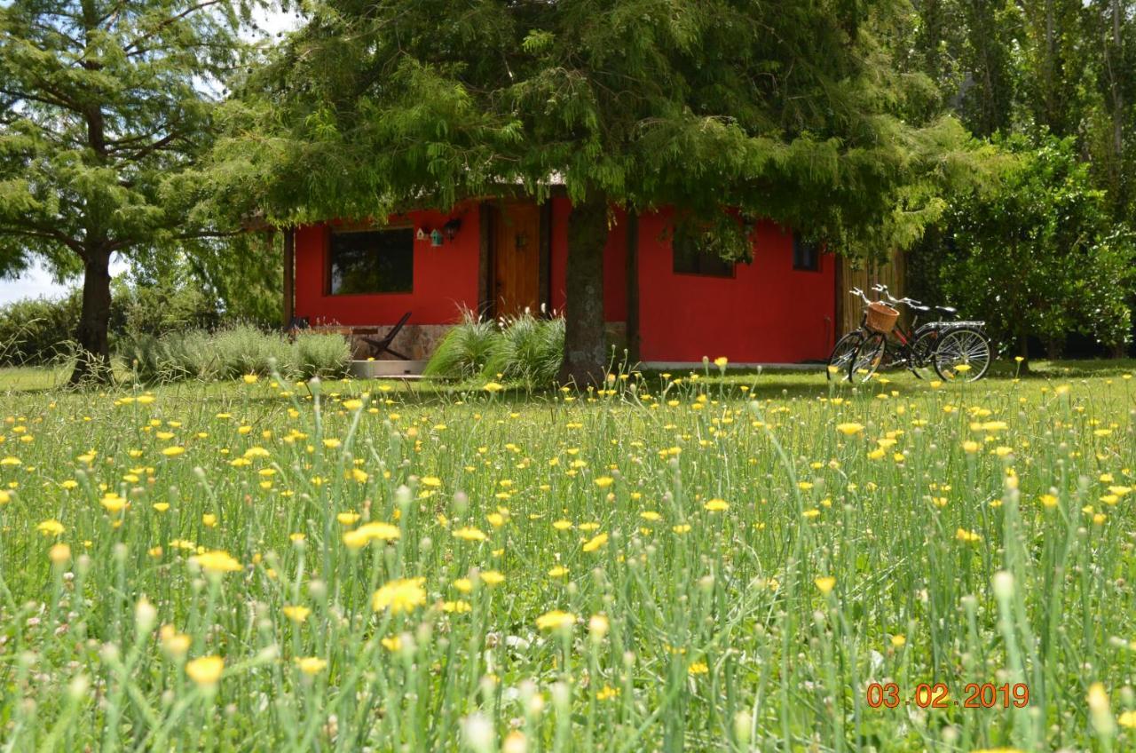 Cabaña La Toscana Carmelo Exterior foto